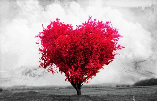 encontar-un-nuevo-amor-en-linea-completamente-gratis